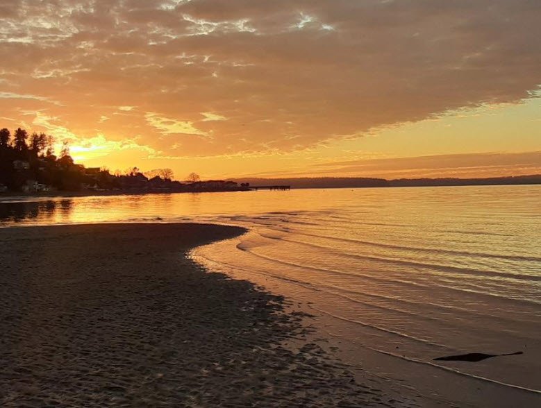 Dash Point State Park, Washington, USA